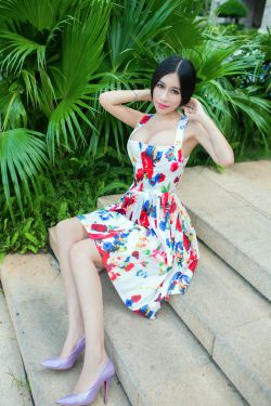 县委大院多少集