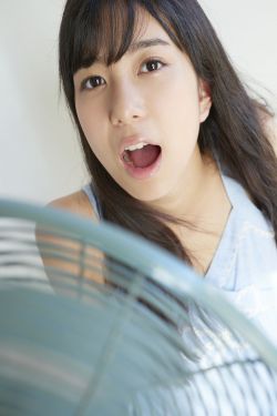 苹果全集