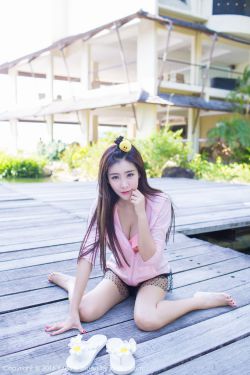 县委大院多少集