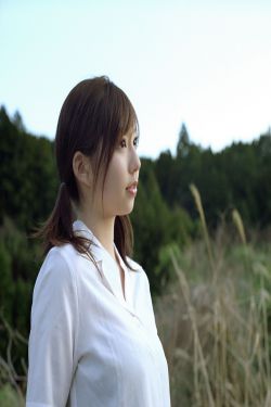 苹果全集