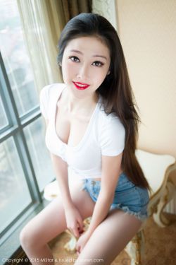 精灵守护者